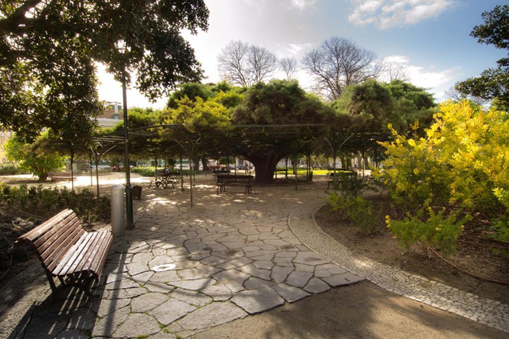 Alegria Center Apartments リスボン 部屋 写真